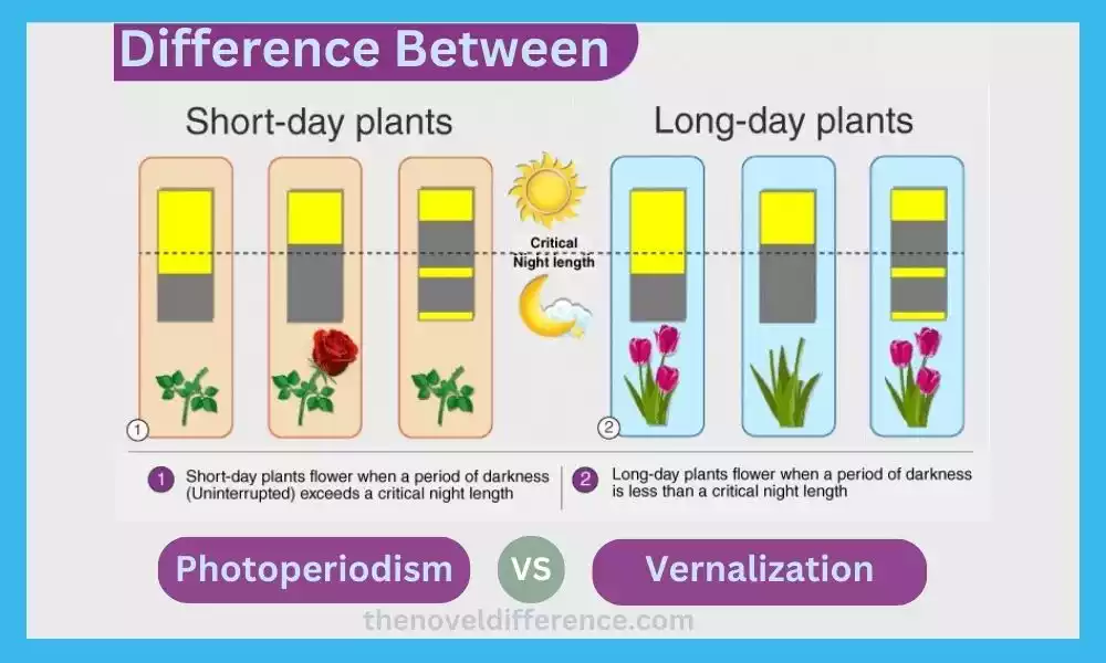 Photoperiodism and Vernalization