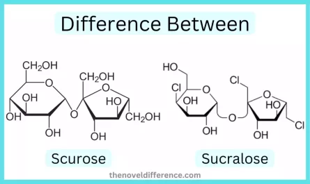 Scurose and Sucralose