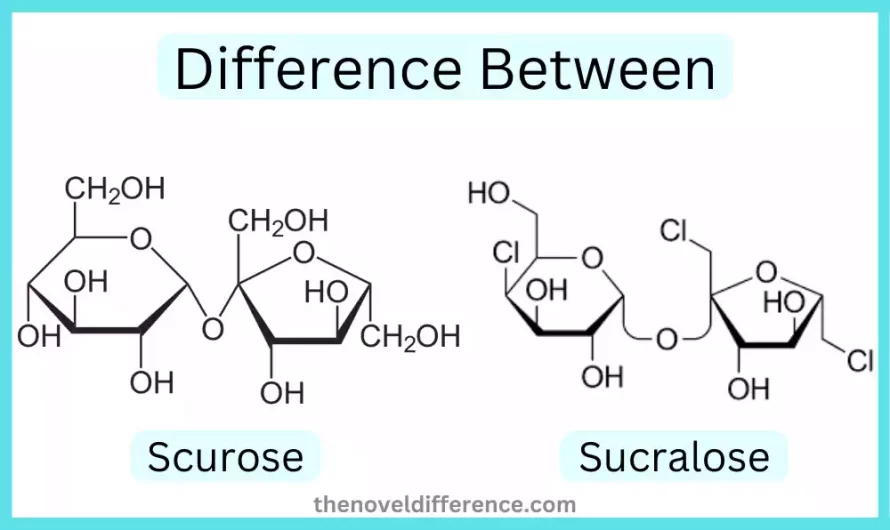 Difference Between Scurose and Sucralose
