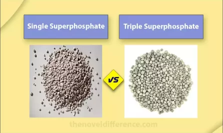 Single Superphosphate and Triple Superphosphate