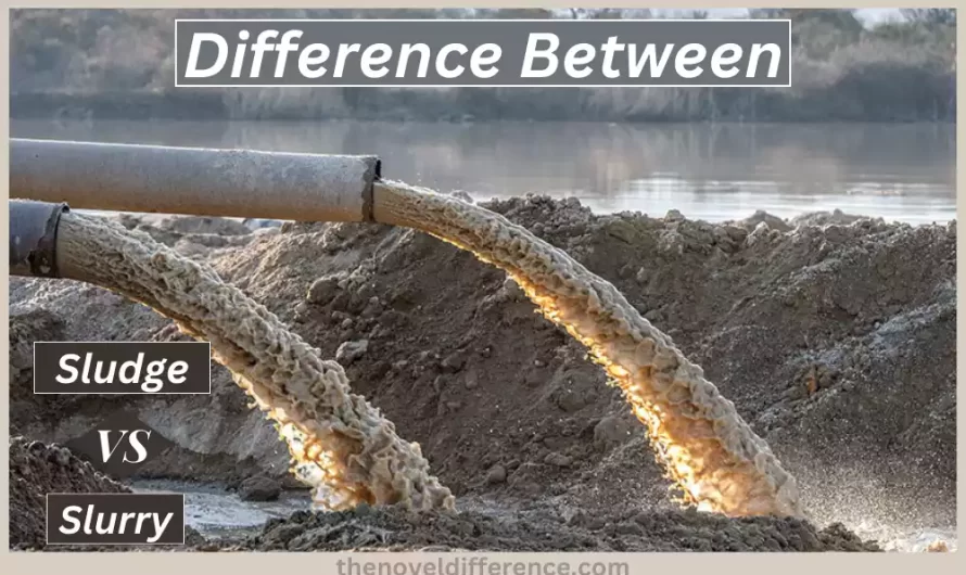 Difference Between Sludge and Slurry