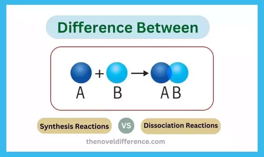 Difference Between Synthesis and Dissociation Reactions