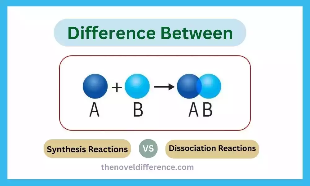 Synthesis and Dissociation Reactions