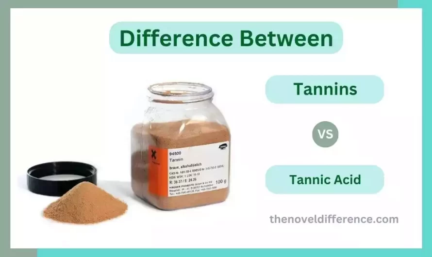 Difference Between Tannins and Tannic Acid