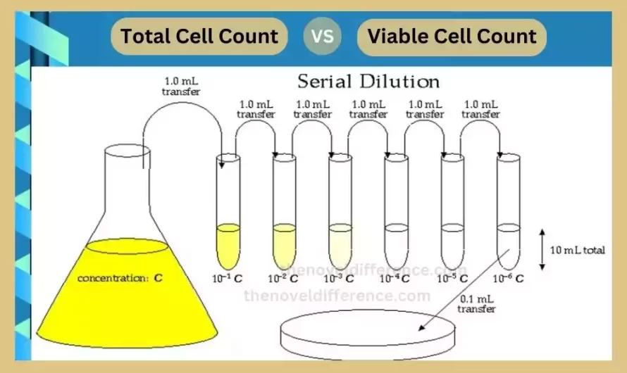 Difference Between Total Cell Count and Viable Cell Count