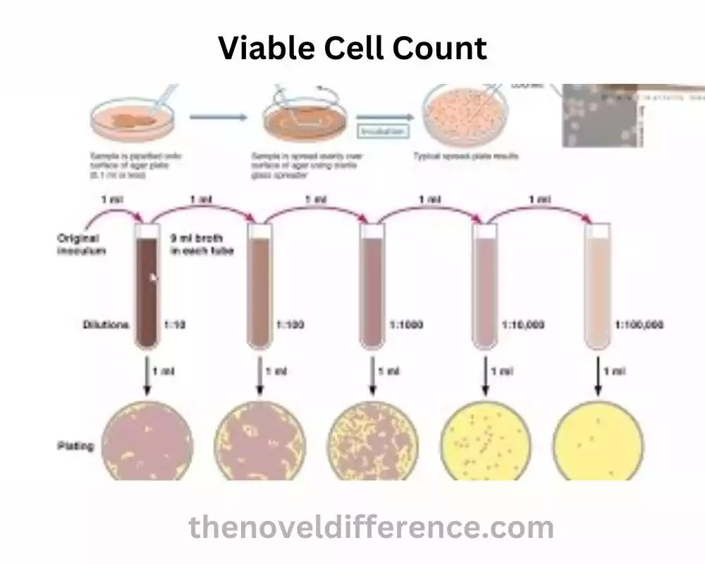 Viable Cell Count