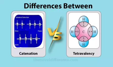 catenation and tetravalency