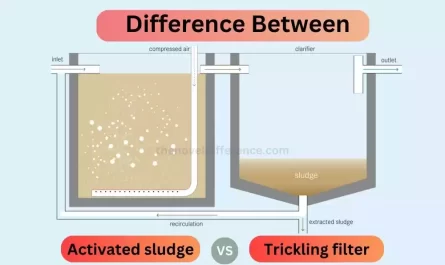 Activated Sludge and Trickling Filter