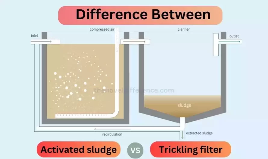 Difference Between Activated Sludge and Trickling Filter
