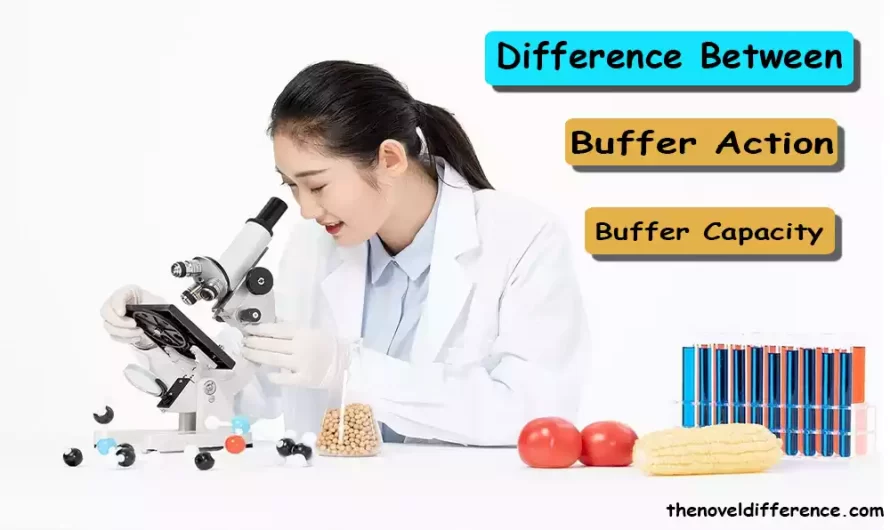 Difference Between Buffer Action and Buffer Capacity