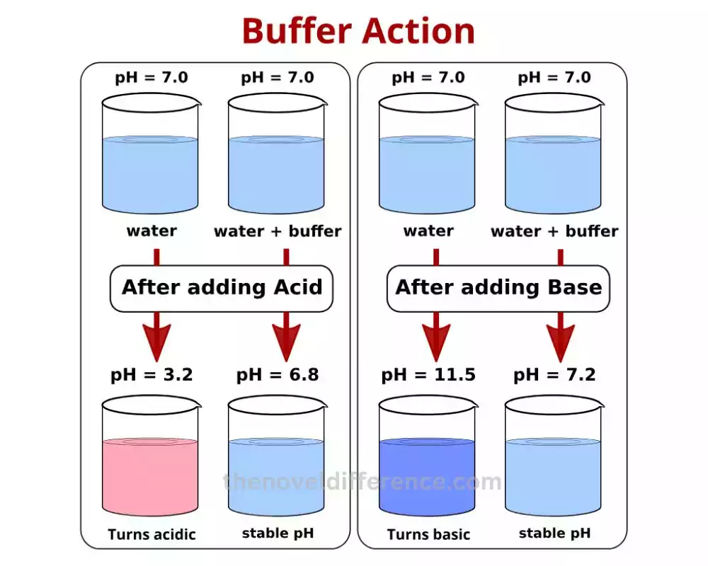 Buffer Action