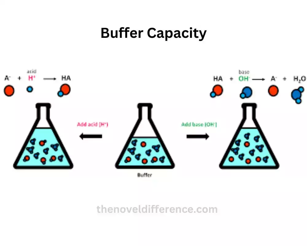 Buffer Capacity