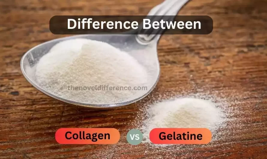 Difference Between Collagen and Gelatine