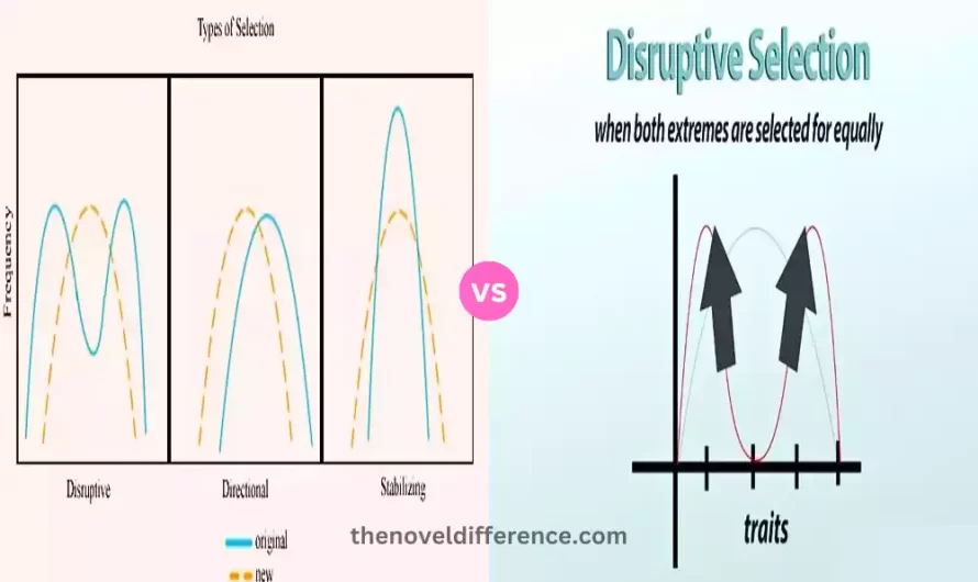 Difference Between Directional and Disruptive Selection