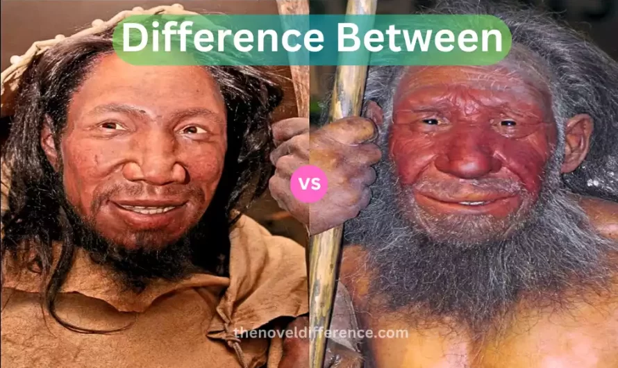 Difference Between Homosapien and Neanderthal