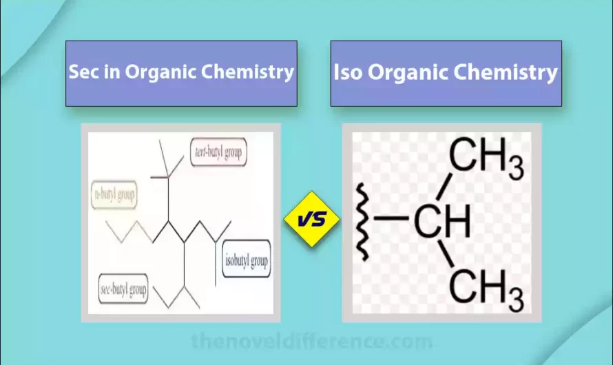 Difference Between Iso and Sec in Organic Chemistry