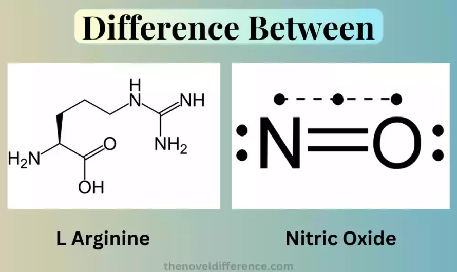 Difference Between L Arginine and Nitric Oxide