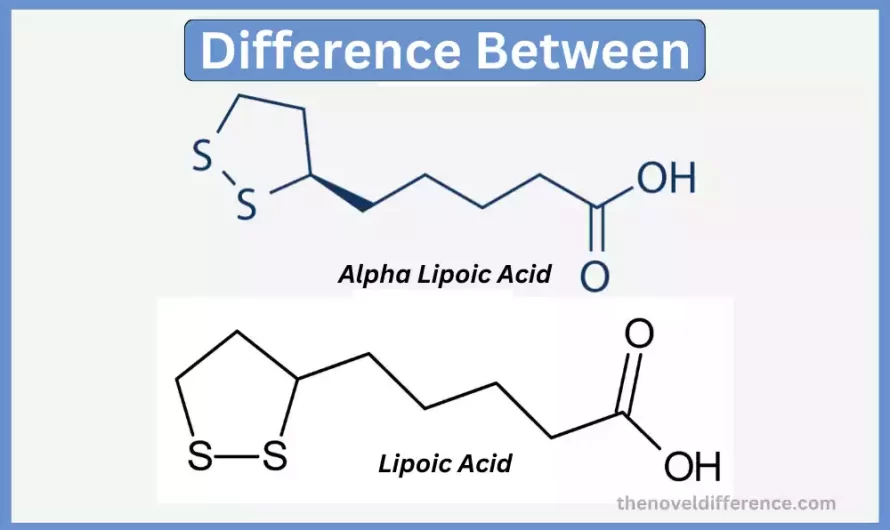 Difference Between Lipoic Acid and Alpha Lipoic Acid