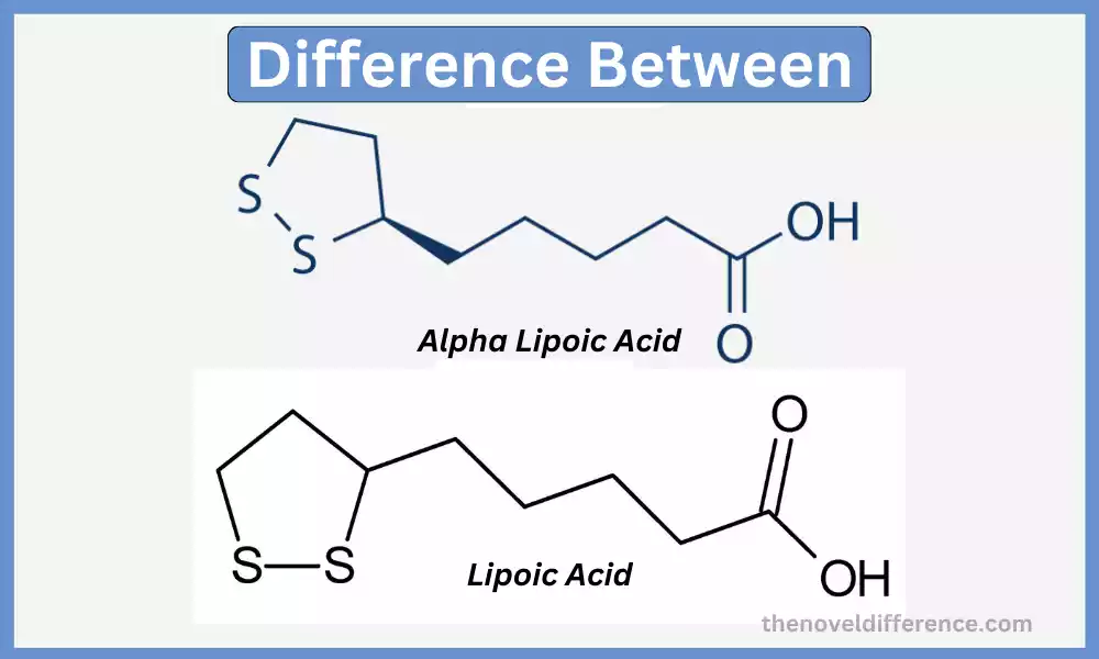 Lipoic Acid and Alpha Lipoic Acid