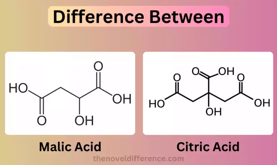 Difference Between Malic Acid and Citric Acid