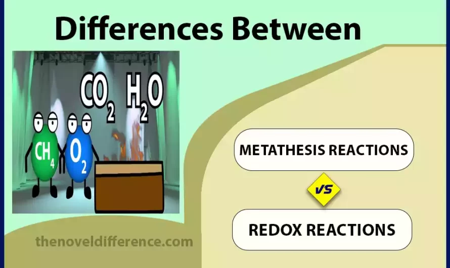 Difference Between Metathesis and Redox Reactions