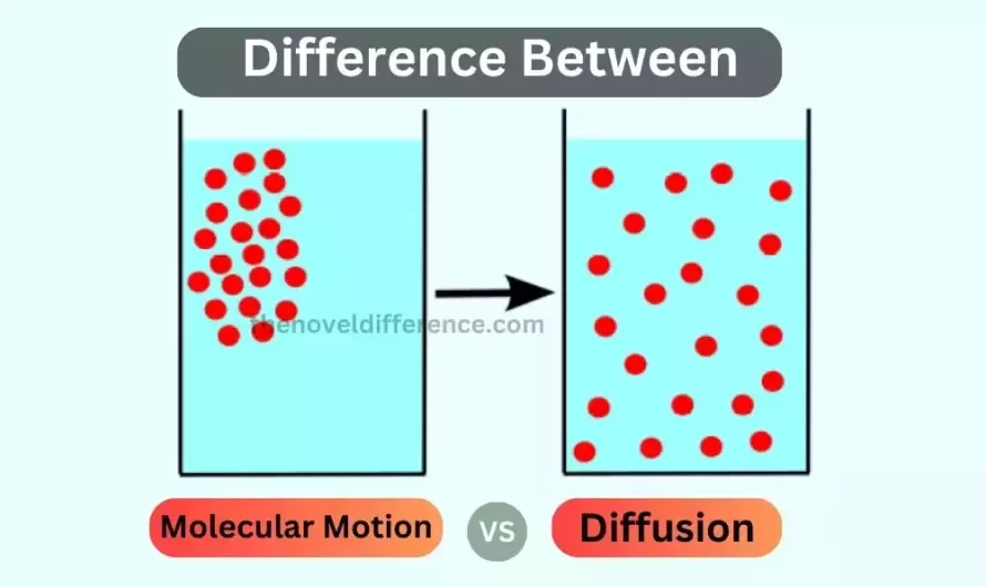 Difference Between Molecular Motion and Diffusion