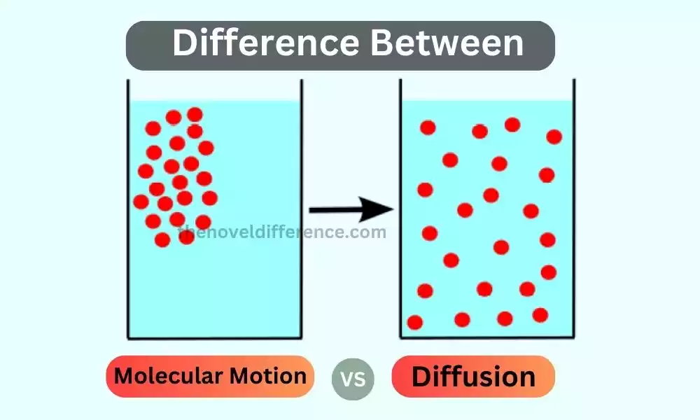 Molecular Motion and Diffusion