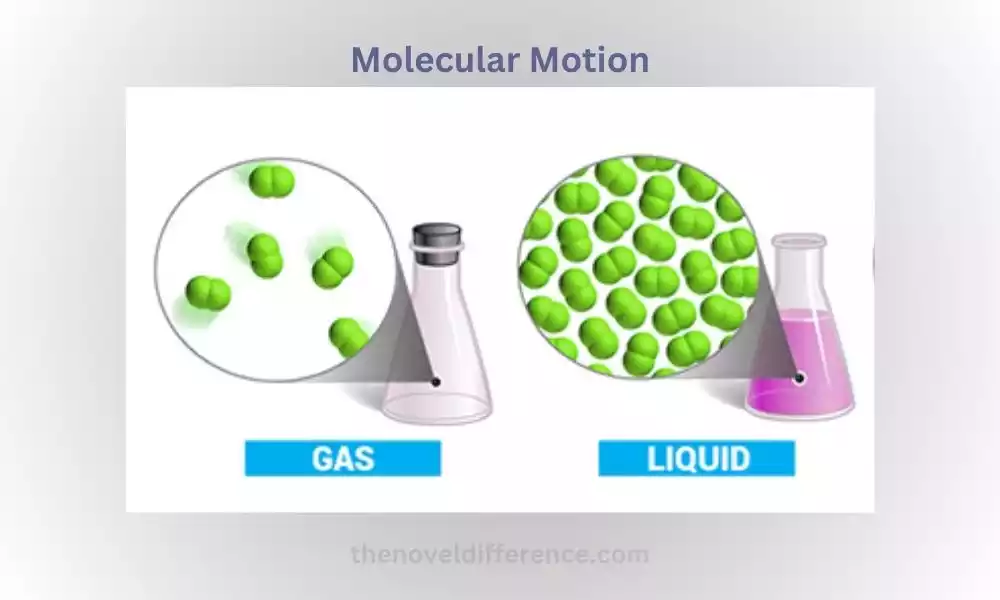 Molecular Motion