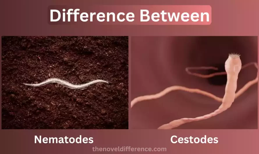 Difference Between Nematodes and Cestodes