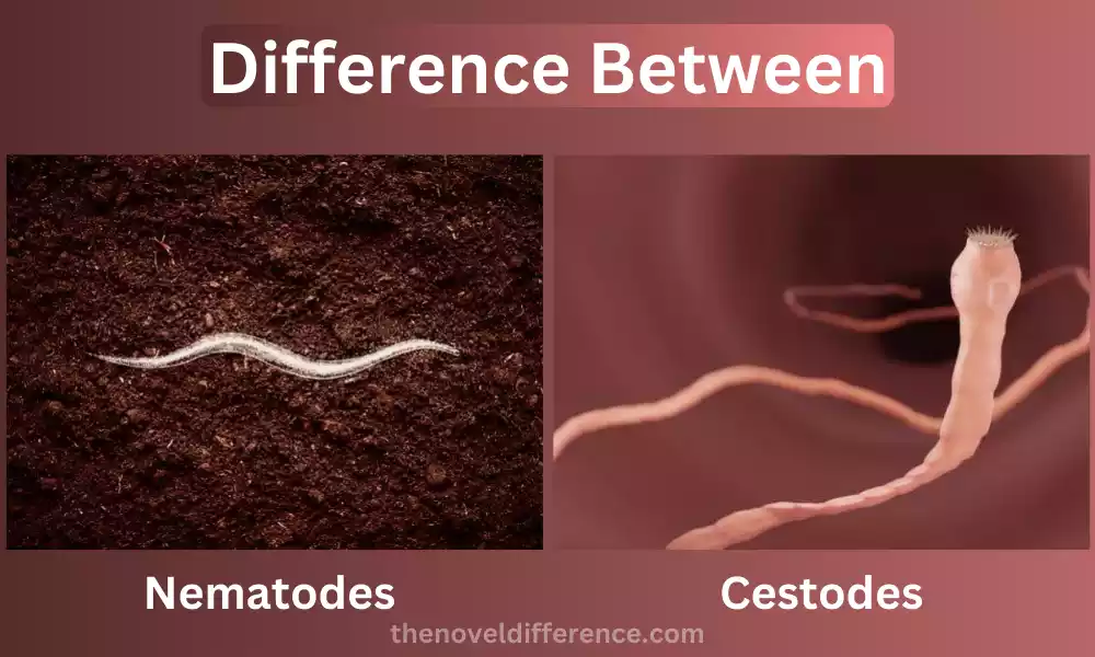 Nematodes and Cestodes
