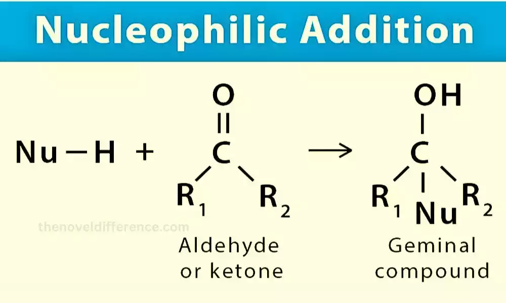 Nucleophilic Addition