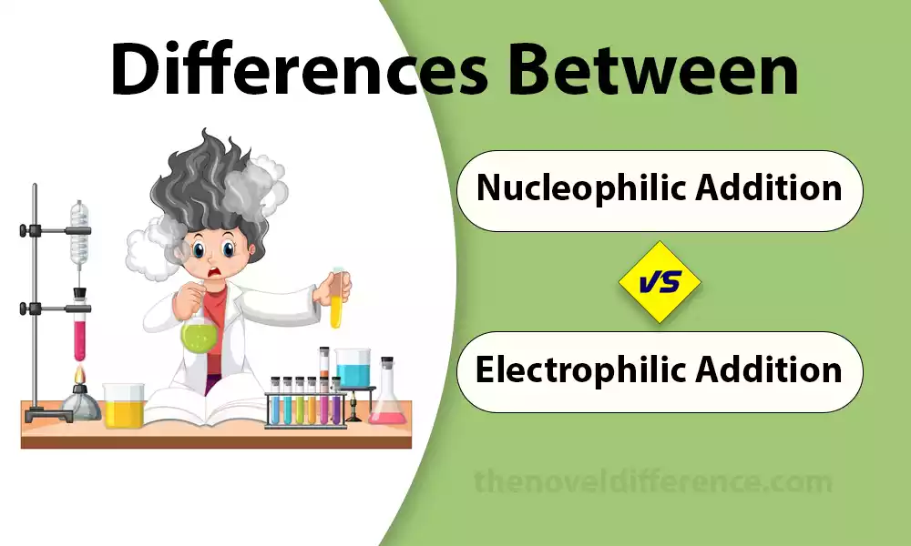 Nucleophilic and Electrophilic Addition