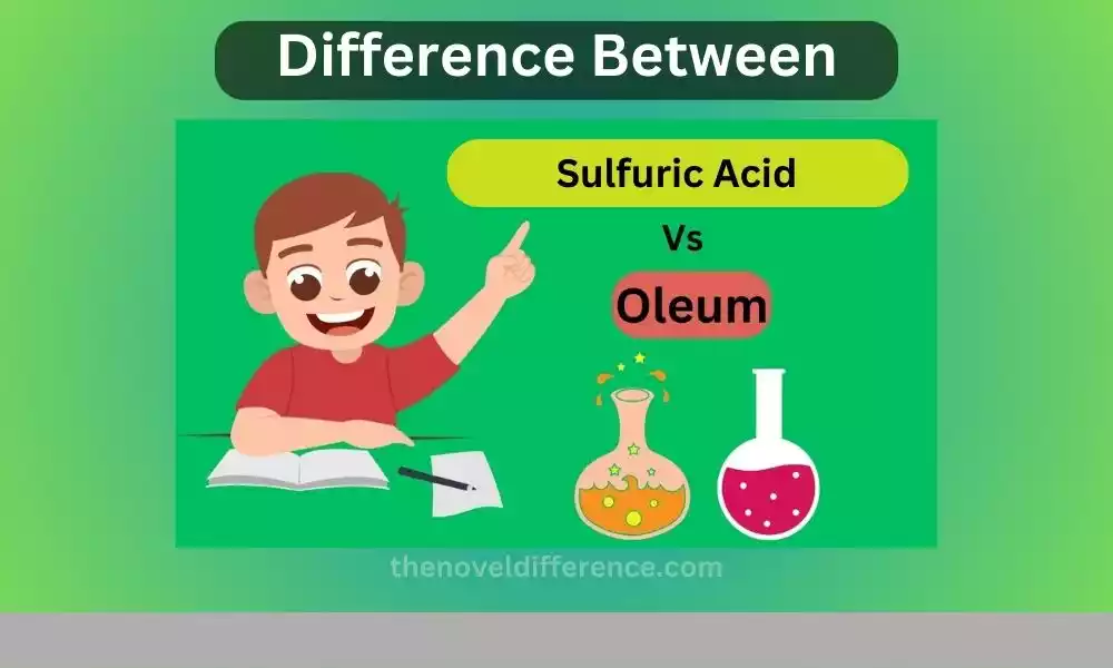 Oleum and Sulfuric Acid