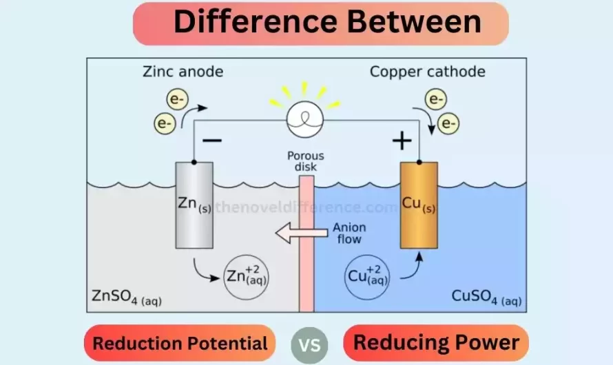 Difference Between Reduction Potential and Reducing Power