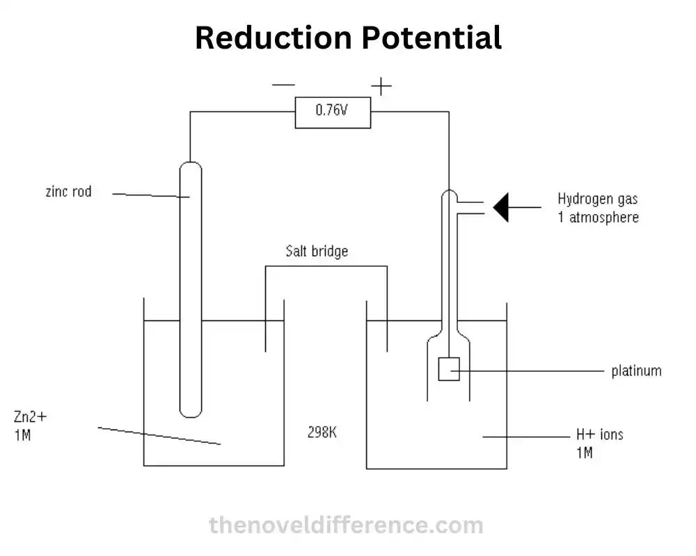 Reduction Potential