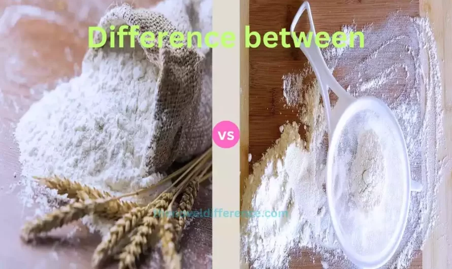 Difference Between Whole Wheat Flour and All Purpose Flour