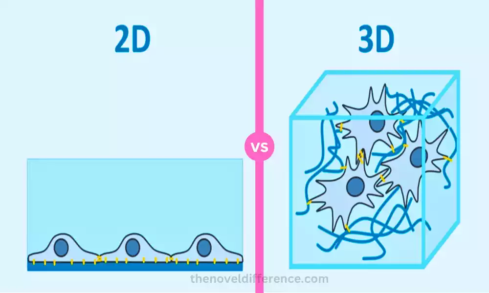 2d and 3d cell culture