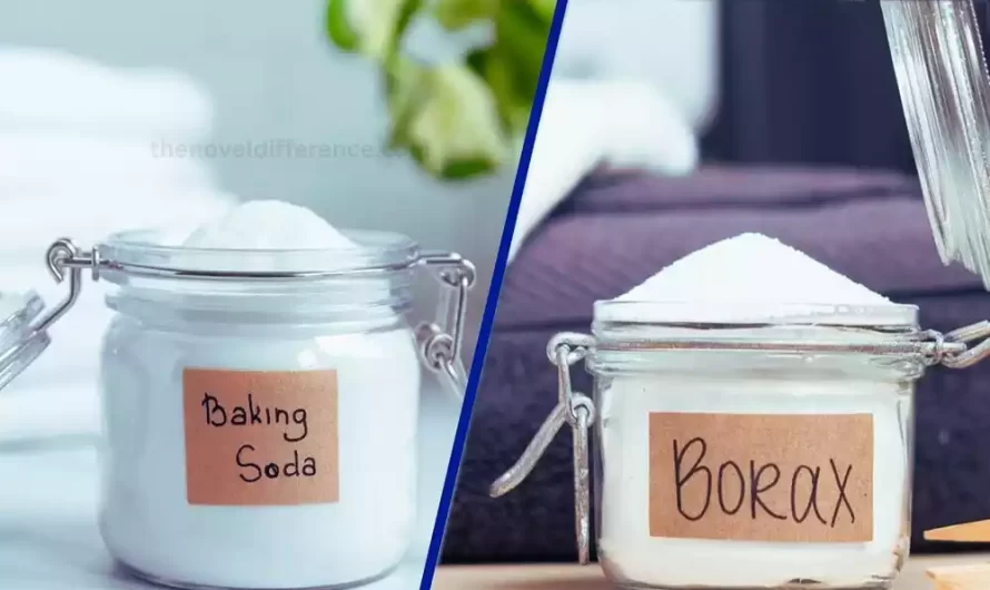 Difference Between Borax and Baking Soda