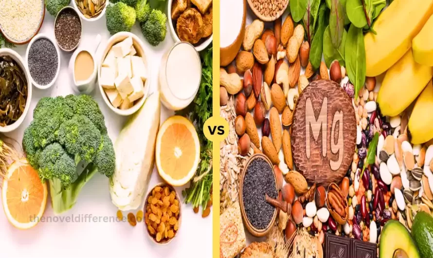 Difference Between Calcium and Magnesium