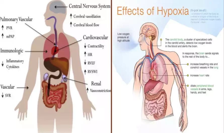 Between Hypoxia and Hypercapnia best difference