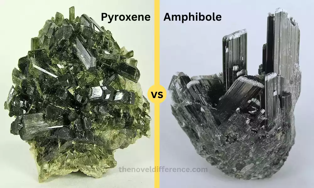 Pyroxene and Amphibole