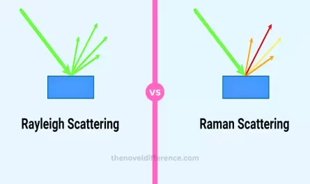 Rayleigh and Raman Scattering