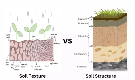 Soil Texture and Soil Structure