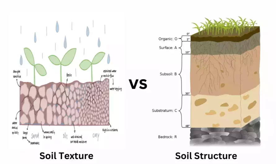 Soil Texture and Soil Structure are the best 10 difference