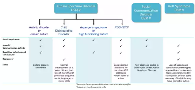 DSM V Autism