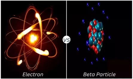 Difference Between Electron and Beta Particle