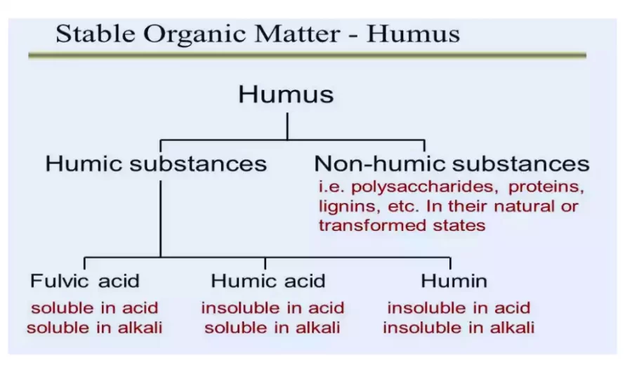 Humic and Non-Humic Substances the best 10 difference