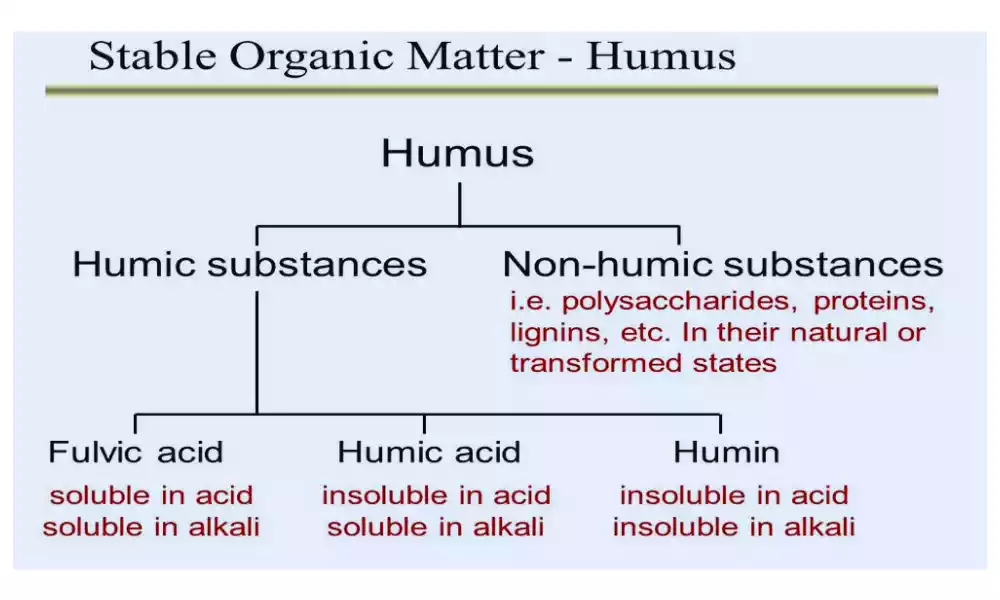 Humic and Non-Humic Substances