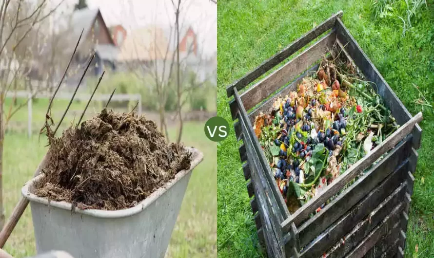 Manure and Compost the 8 difference