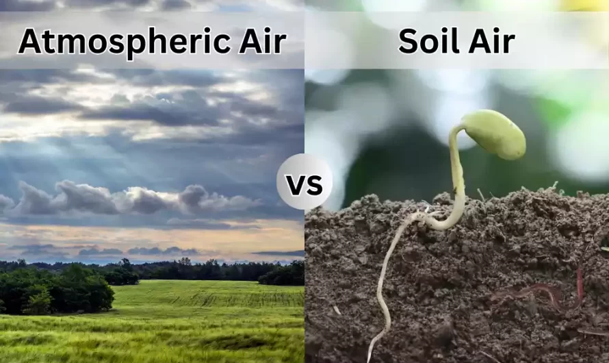 Soil Air and Atmospheric Air top 11 difference